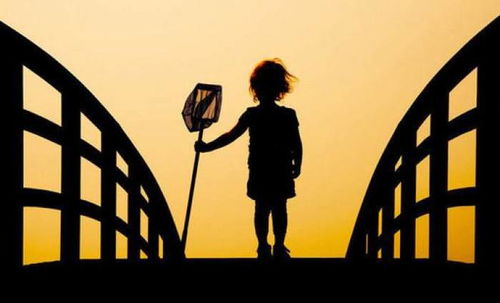 陽(yáng)光、防疫與影像 平凡生活里的美好瞬間